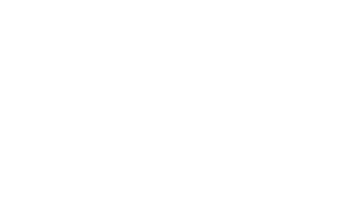 Capital Region Nordic Alliance Logo