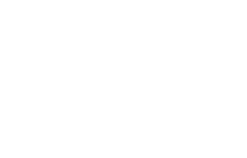 Rensselaer Polytechnic Institute Logo