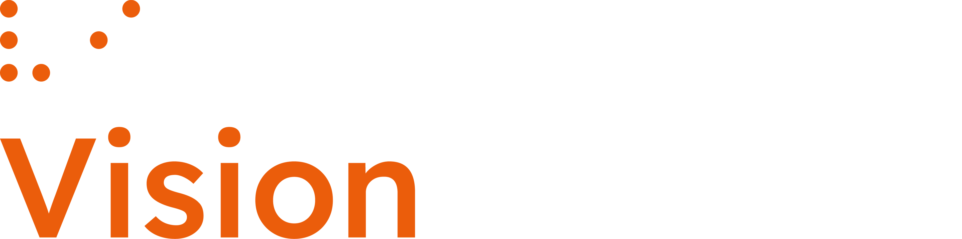 Vision Ireland Logo
