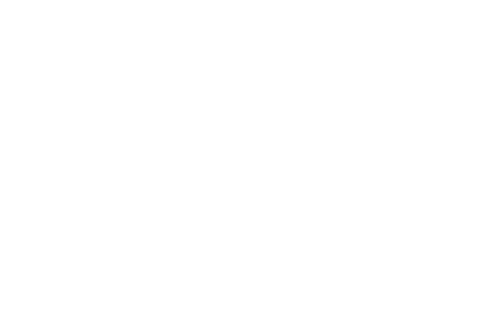Simplicity Tech Solutions Logo