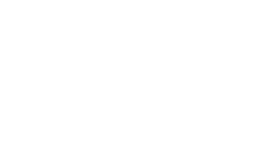 Simplicity Tech Solutions Logo